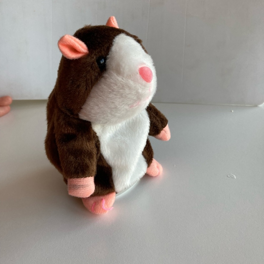 Talking hamster